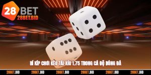 Tài Xỉu 1.75 - Bí Kíp Chơi Kèo Dễ Ăn Khi Cá Độ Bóng Đá